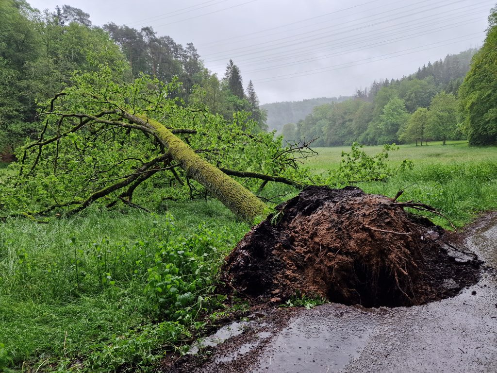 20240517_100439 Übergabe Auszeichnung